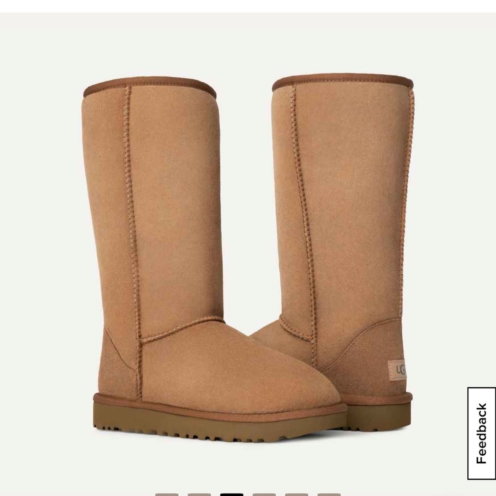UGG Tall Boots in Chestnut Brown